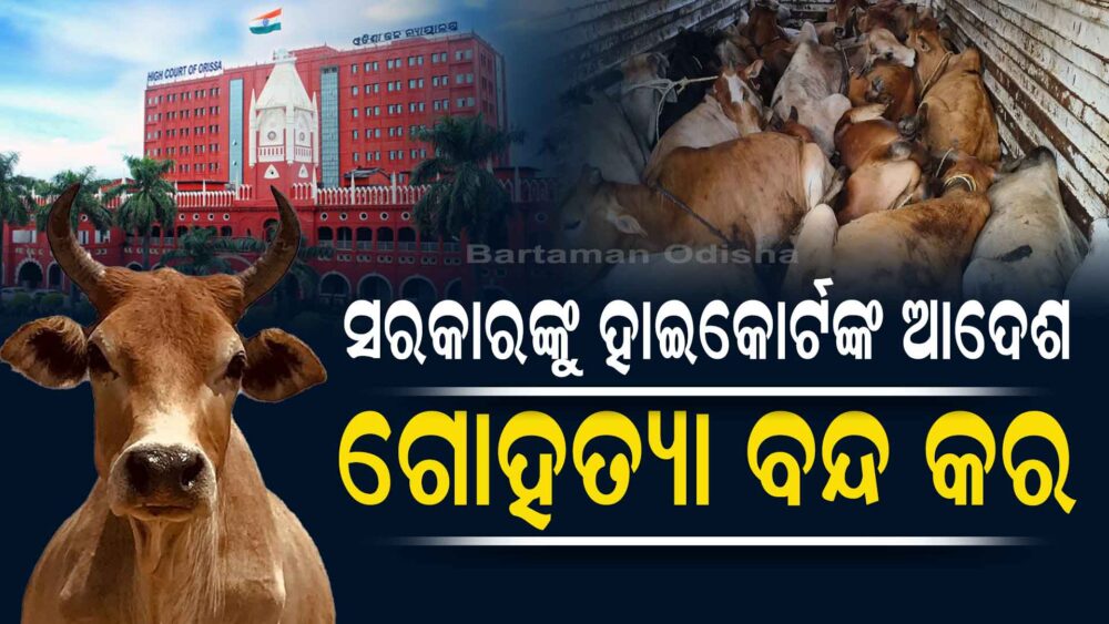 Orissa High Court Orders Government to Stop Cow Challan